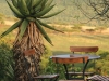 fd-chairs-aloe-view-lr