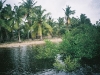 2455191-beautiful_palms_at_inhambane-mozambique